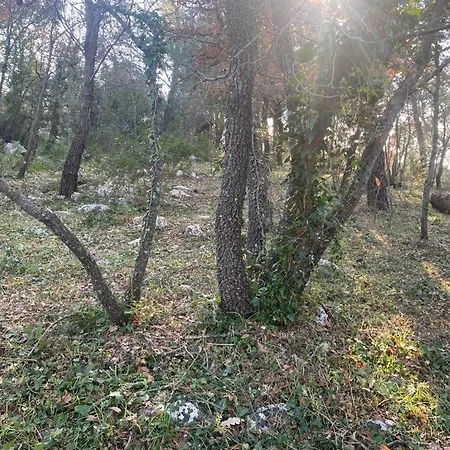 Villa Gioia Infinita Ceglie Messapica
